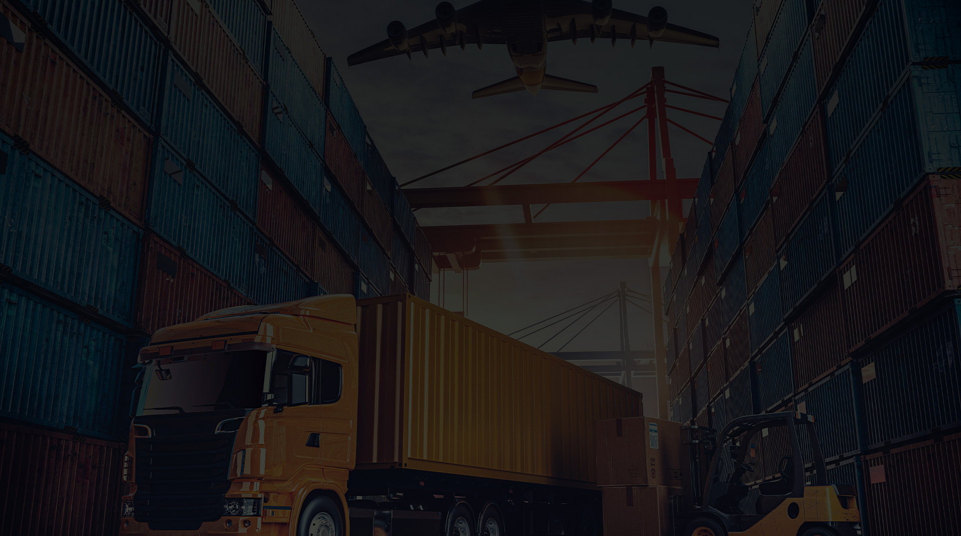 distribution internationale